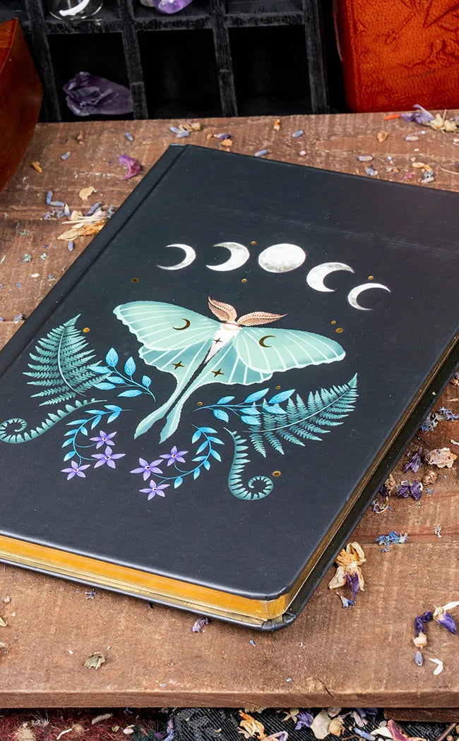 Moth Journal Midnight Moth Journal