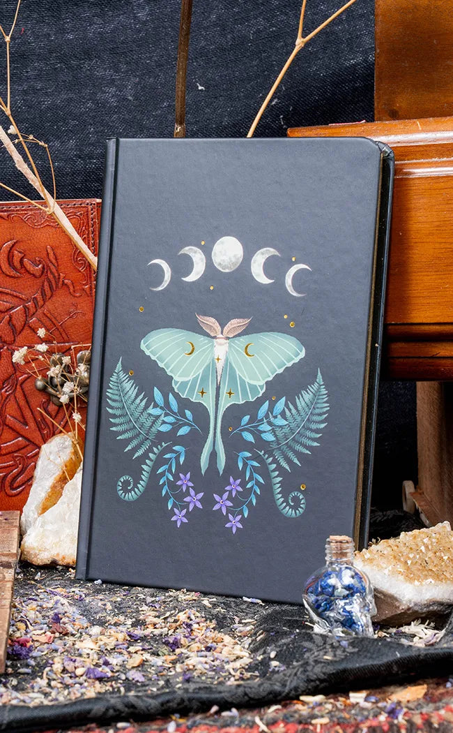 Moth Journal Midnight Moth Journal