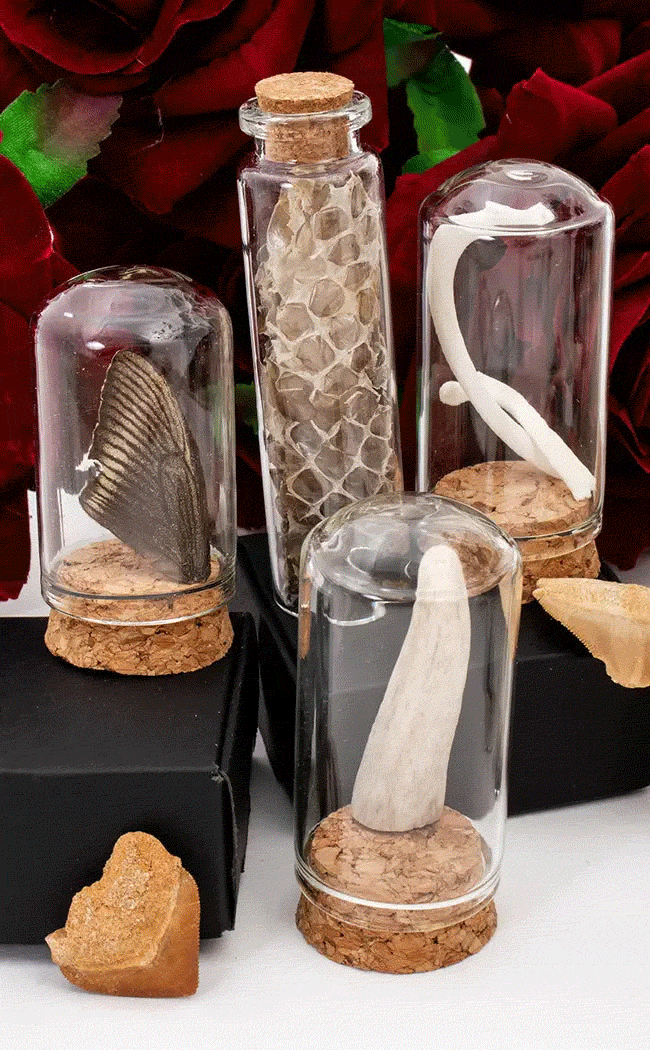 Shop Gothic Kitchenware in Australia Goth Kitchen Decor