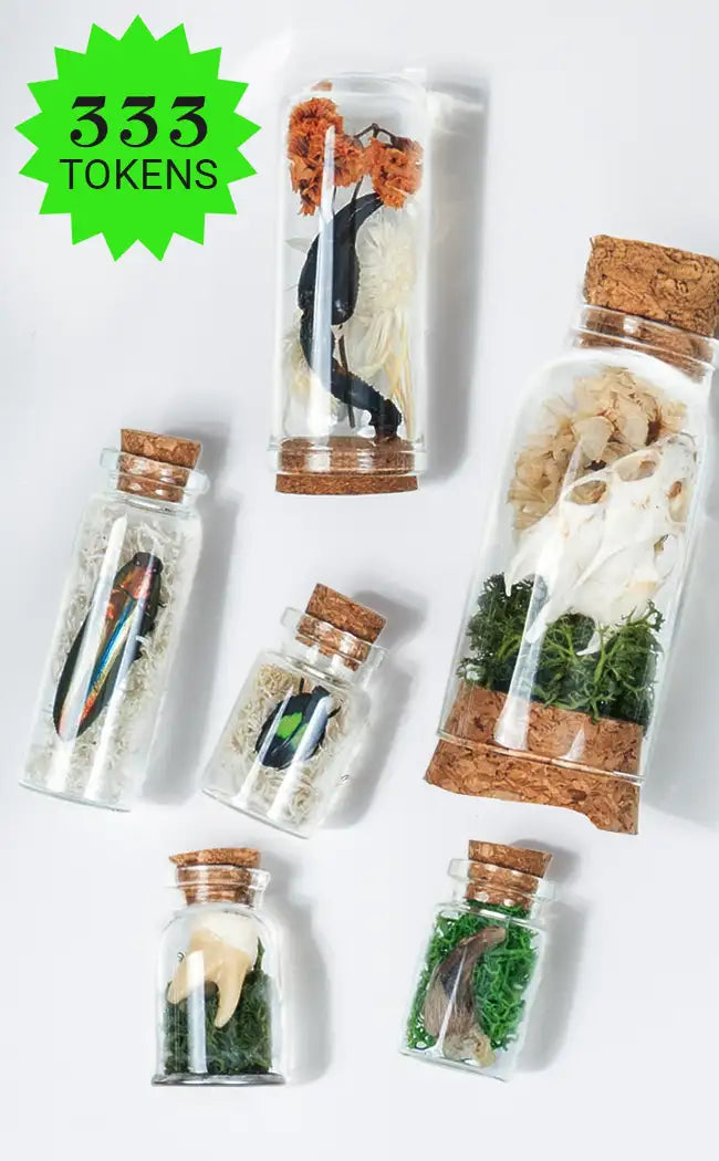 Oddity Obscura Vial | Reward Gift