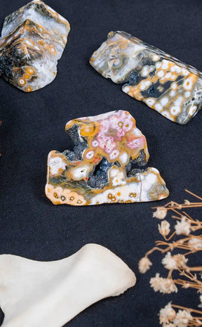 Polished Pieces 8th Vein Ocean Jasper
