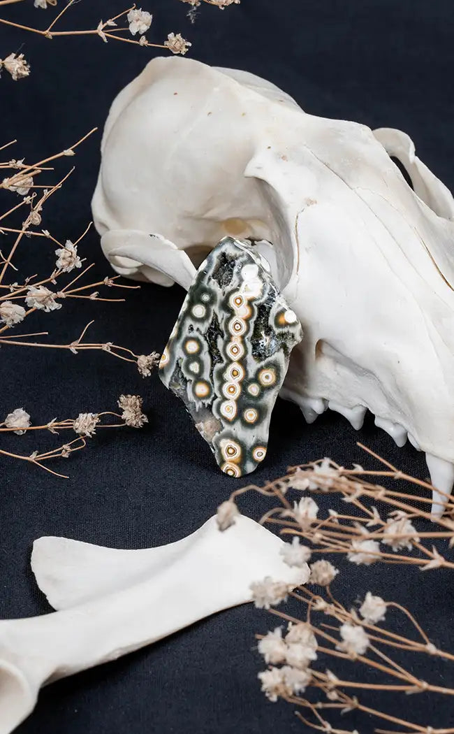 Polished Pieces 8th Vein Ocean Jasper