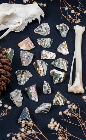 Polished Pieces 8th Vein Ocean Jasper