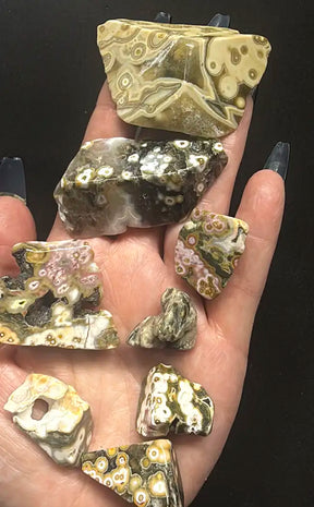 Polished Pieces 8th Vein Ocean Jasper