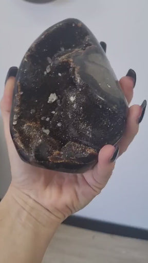 Black Dragon Egg w Calcite Flat Base | Natural Septarian | 1.2kg
