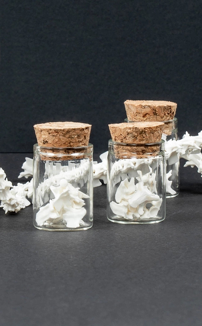 Rattle Snake Vertebrae Bones in Glass Jar