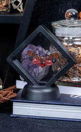 Red Lanternfly in Display Case