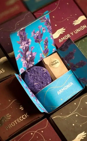 Sacred Smoke Incense Charcoal and Herbs Kit | Harmony