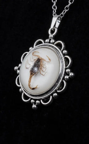 Scorpion Necklace