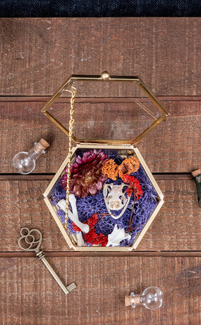 Skull & Bones in Glass Trinket Box