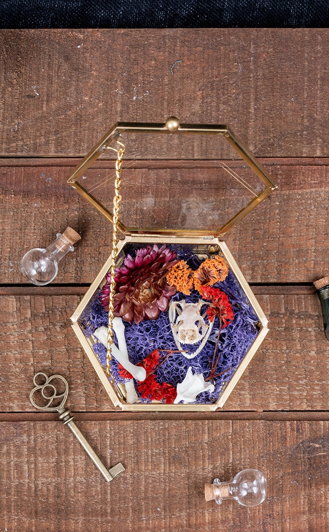 Skull & Bones in Glass Trinket Box