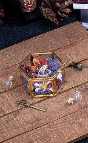 Skull & Bones in Glass Trinket Box