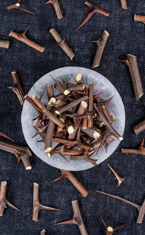 Small Hawthorn Thorns | Witchcraft Herbs