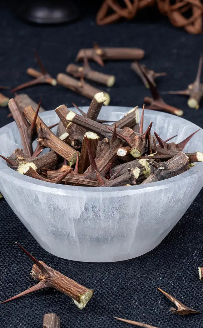 Small Hawthorn Thorns | Witchcraft Herbs
