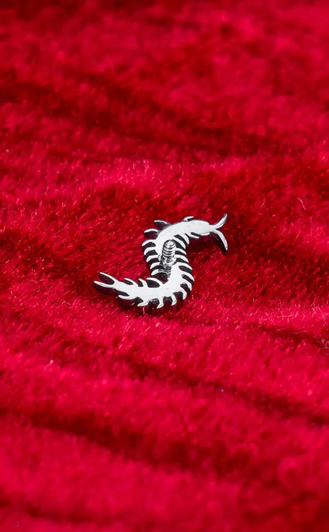 Titanium Internally Threaded Top | Centipede