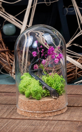 Unique Curiosity Vials | Bird Feet