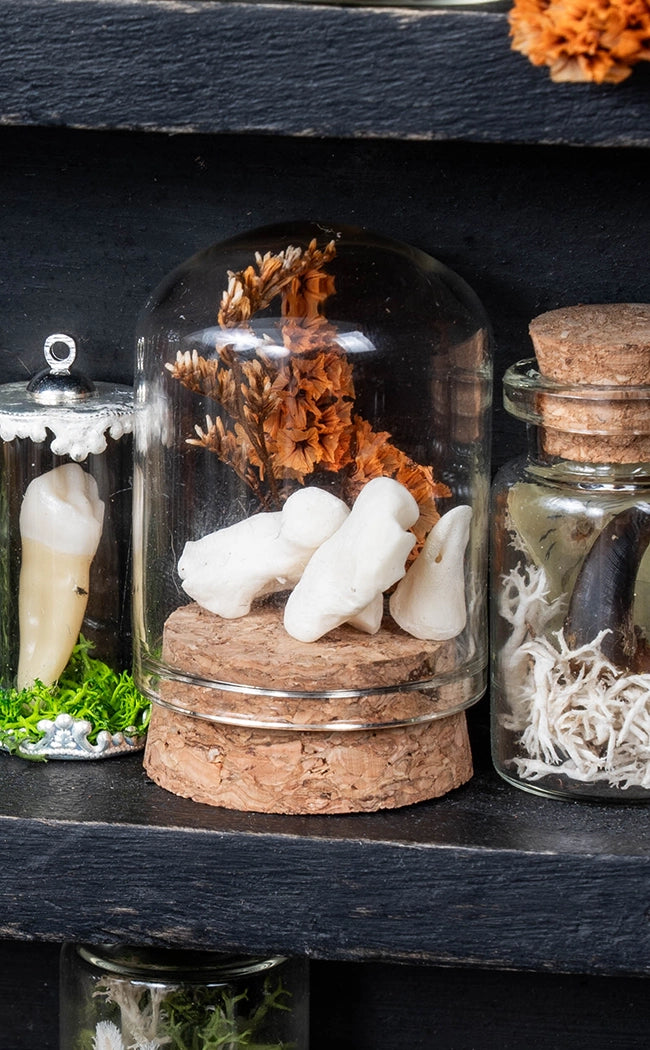 Unique Curiosity Vials | Bones