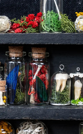 Unique Curiosity Vials | Bones