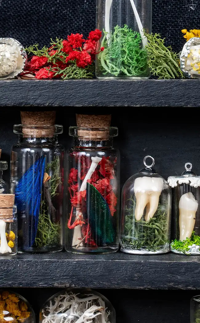 Unique Curiosity Vials | Bones