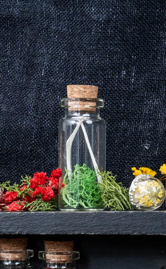 Unique Curiosity Vials | Bones