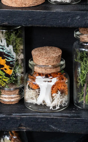 Unique Curiosity Vials | Bones