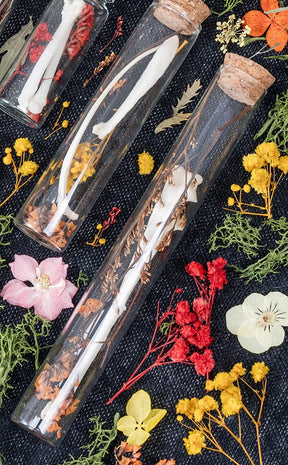 Unique Curiosity Vials | Bones