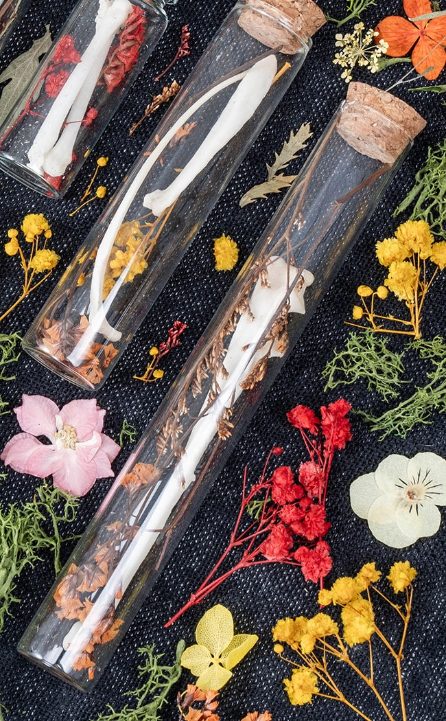 Unique Curiosity Vials | Bones