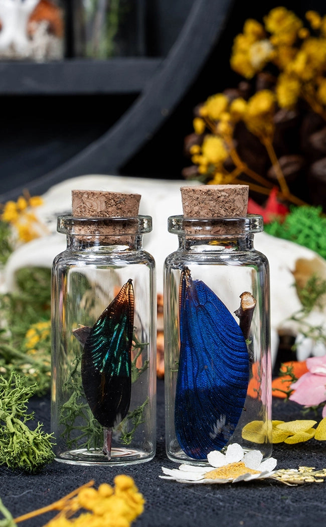 Unique Curiosity Vials | Bugs & Bits