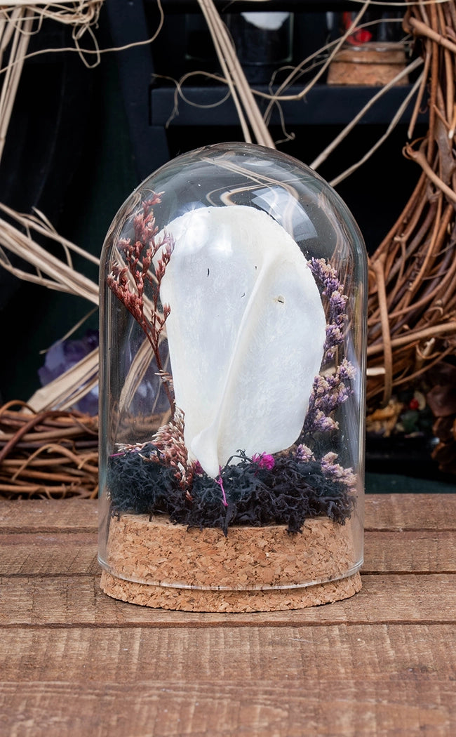 Unique Curiosity Vials | Larger Bones