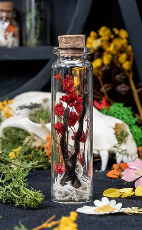 Unique Curiosity Vials | Scorpion & Spider