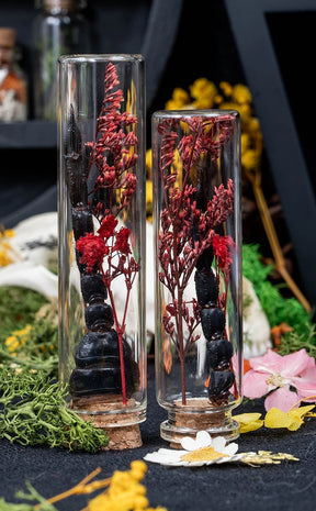 Unique Curiosity Vials | Scorpion & Spider