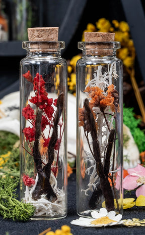 Unique Curiosity Vials | Scorpion & Spider