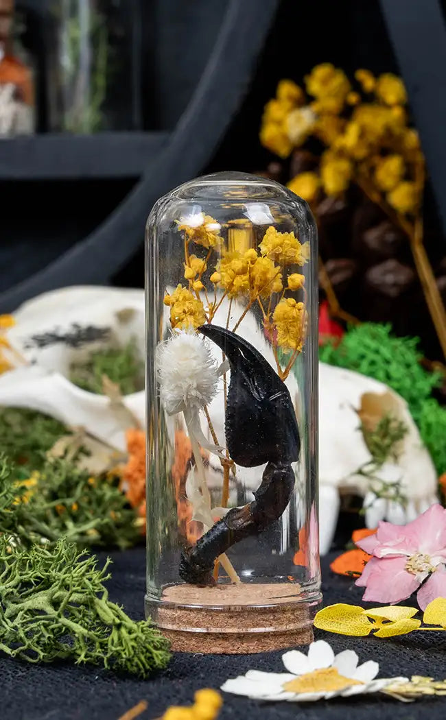 Unique Curiosity Vials | Scorpion & Spider