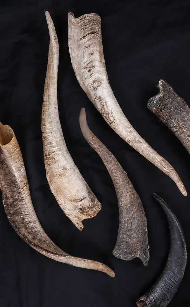 Various Goat Horns