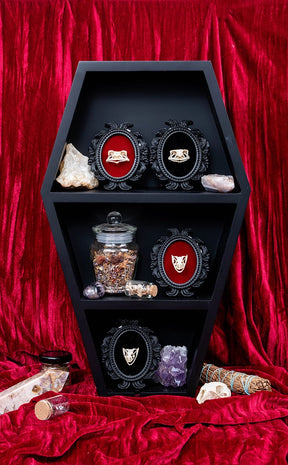 Velvet Backed Toad Skull in Mini Vintage Frame