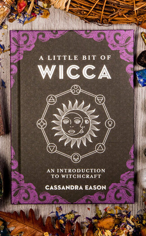 A Little Bit of Wicca: An Introduction to Witchcraft-Occult Books-Tragic Beautiful