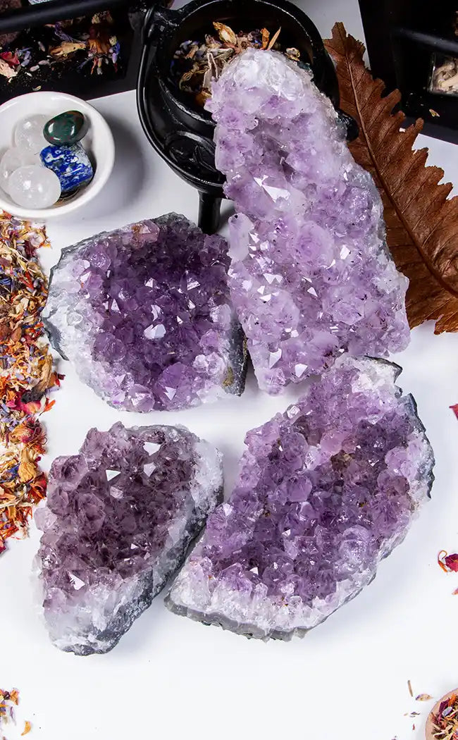 Amethyst Cluster - Jumbo-Crystals-Tragic Beautiful