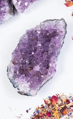 Amethyst Cluster - Jumbo-Crystals-Tragic Beautiful