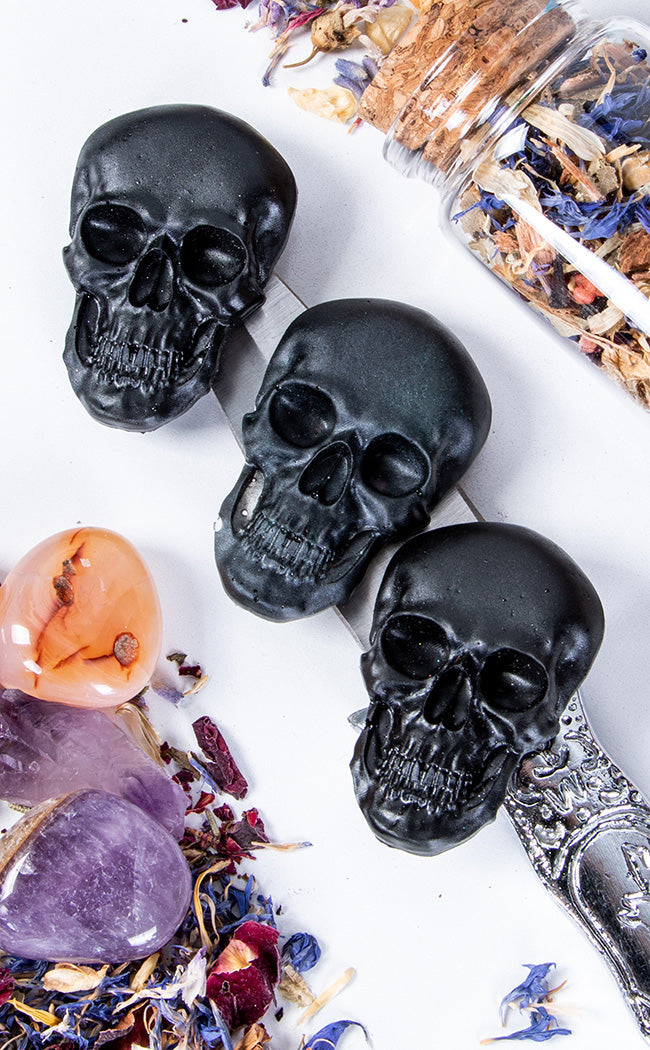 Black Skull Magnet-Curio Resins-Tragic Beautiful