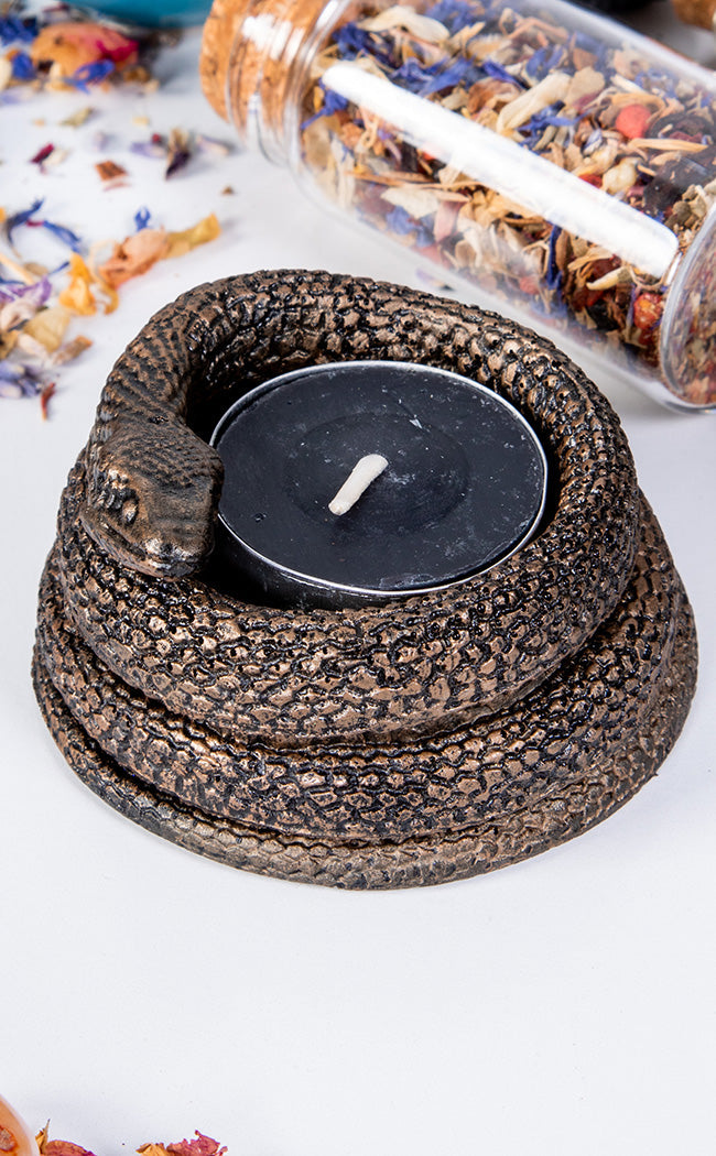 Bronze Snake Tealight or Sphere Holder-Curio Resins-Tragic Beautiful