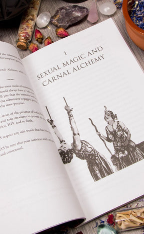 Carnal Alchemy-Occult Books-Tragic Beautiful