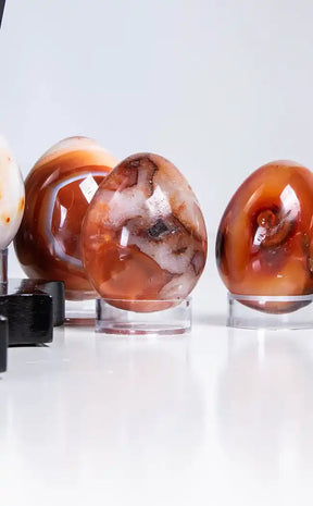 Carnelian Eggs with Stands-Crystals-Tragic Beautiful