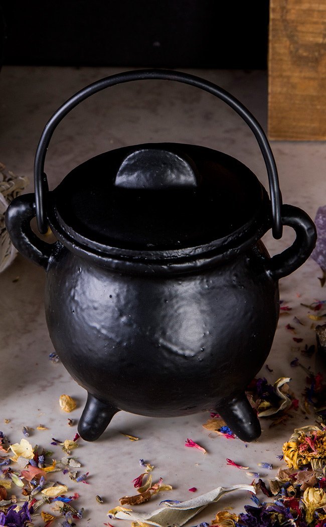 Cast Iron Cauldron with Lid-Cauldrons-Tragic Beautiful