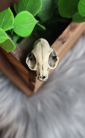 Cat Skull Magnet-Curio Resins-Tragic Beautiful