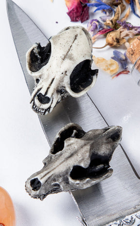 Cat Skull Magnet-Curio Resins-Tragic Beautiful
