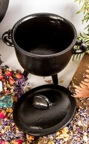 Cauldron with Lid and Handle-Cauldrons-Tragic Beautiful