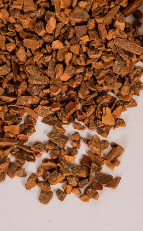 Cinnamon Bark | Herbal Alchemy-Aether-Tragic Beautiful