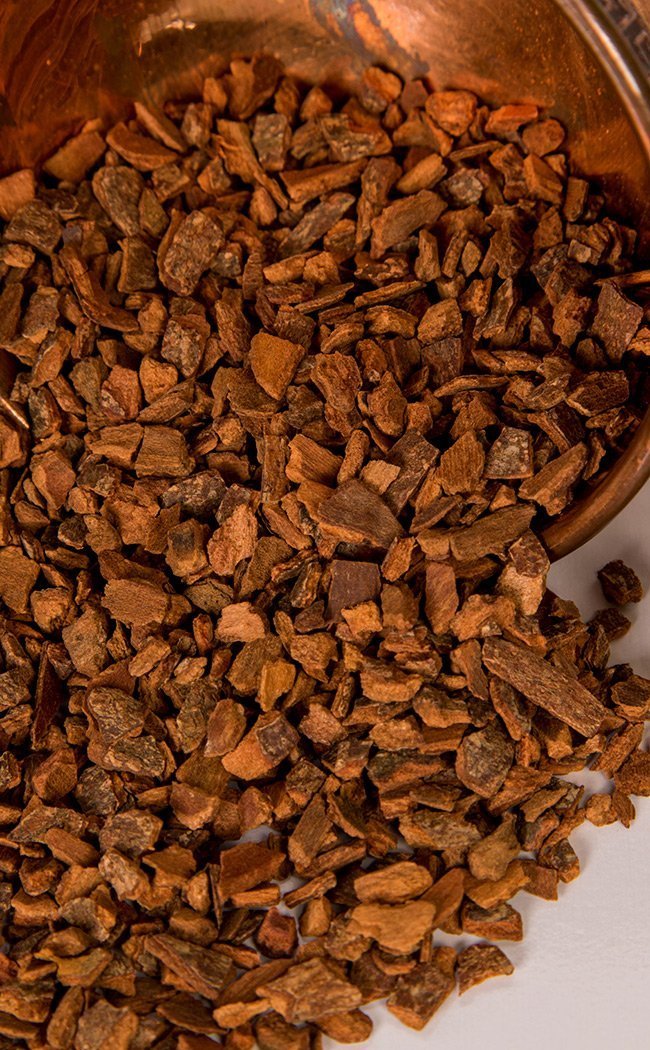 Cinnamon Bark | Herbal Alchemy-Aether-Tragic Beautiful