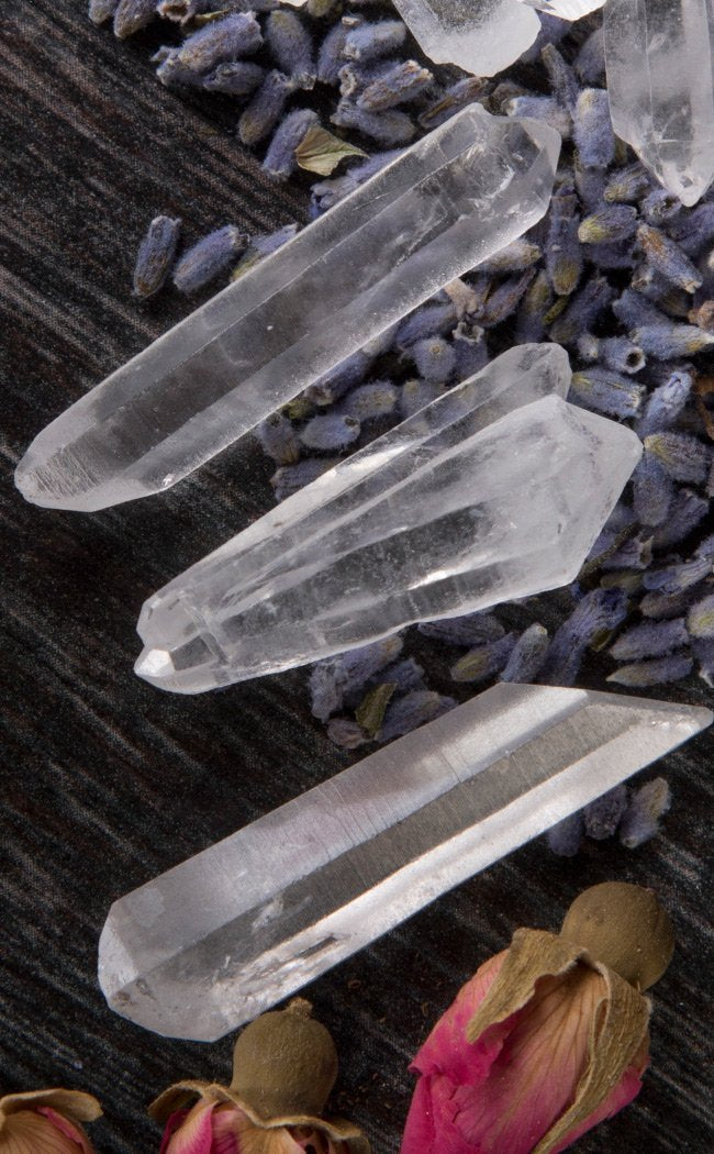 Clear Quartz Crystal Points Minis x 5-Crystals-Tragic Beautiful