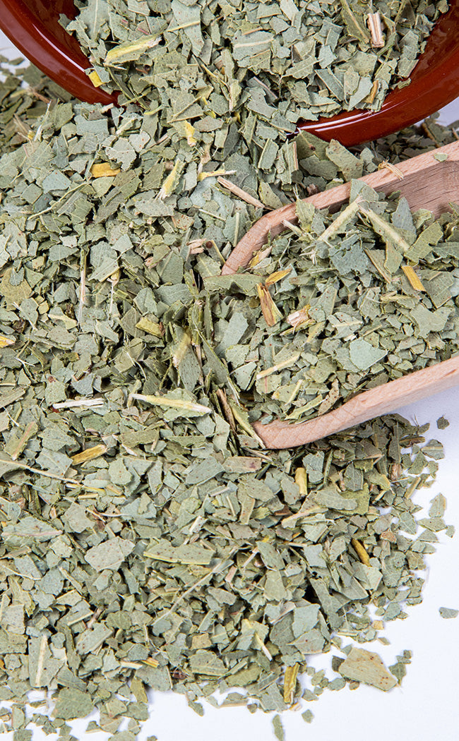 Dried Eucalyptus Leaves | Witchcraft Herbs-Witch Herbs-Tragic Beautiful